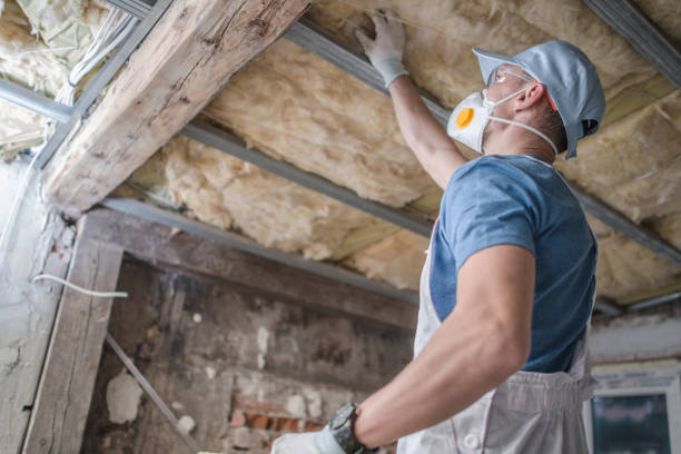 Best Commercial Insulation in Kenedy, TX