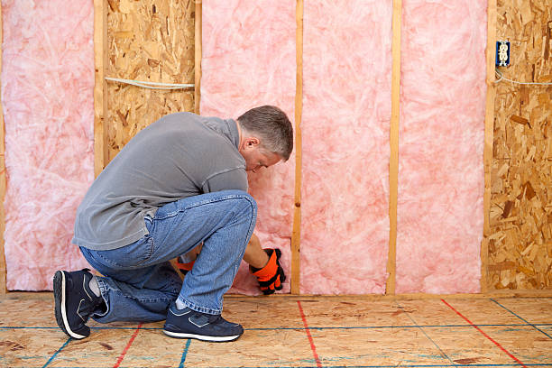 Best Specialized Insulation Services in Kenedy, TX