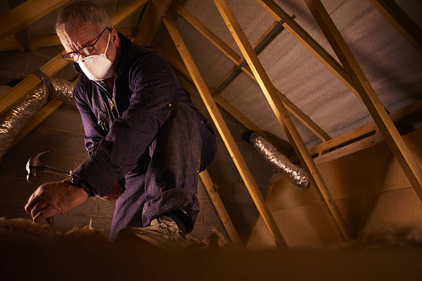 Best Fiberglass Insulation in Kenedy, TX
